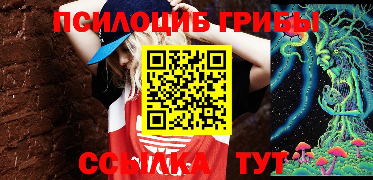 Галлюциногенные грибы мицелий  где купить наркоту  Брянск  Галлюциногенные грибы ЛСД  Вход с VPN 